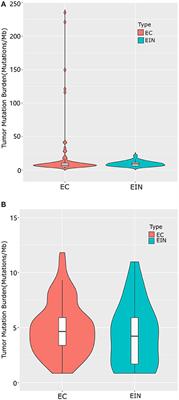 Genomic Comparison of Endometrioid Endometrial Carcinoma and Its Precancerous Lesions in Chinese Patients by High-Depth Next Generation Sequencing